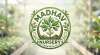 Madhav nursery નો પ્રોફાઇલ ફોટો