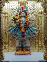 શ્રીજી construction